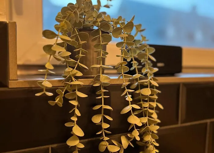 Holiday home Fischer-chic - Bude In Maasholm